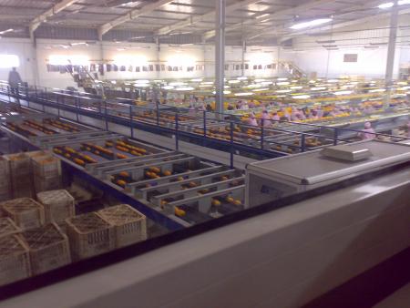 where i work